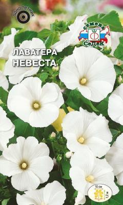Лаватера Невеста белая в интернет гипермаркете «Планета Лета». Фото