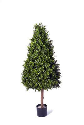 Самшит Тауэр уличный новый в-140 см 1/1 10.44105N в интернет гипермаркете «Планета Лета». Фото