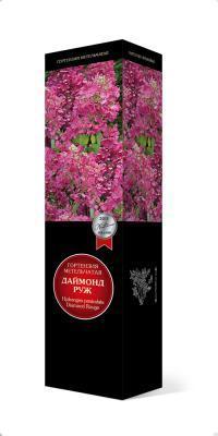 Гортензия метельчатая Даймонд Руж/ЦКорЛюкс в интернет гипермаркете «Планета Лета». Фото