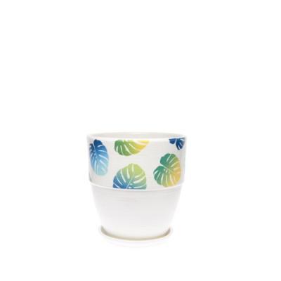 Горшок Монстера готика борт d12 в интернет гипермаркете «Планета Лета». Фото