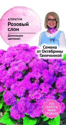 Агератум Розовый слон 0,05 гр Ганичкина в интернет гипермаркете «Планета Лета». Фото