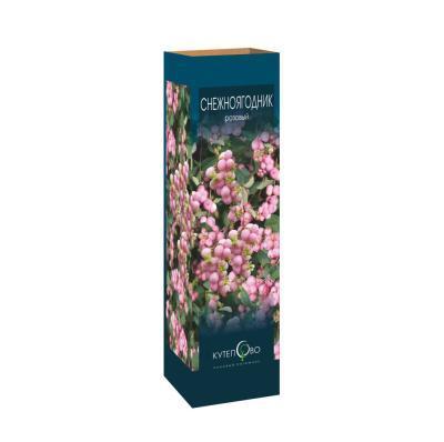 Снежноягодник в коробке Кут в интернет гипермаркете «Планета Лета». Фото