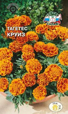 Тагетес Круиз отклоненный в интернет гипермаркете «Планета Лета». Фото