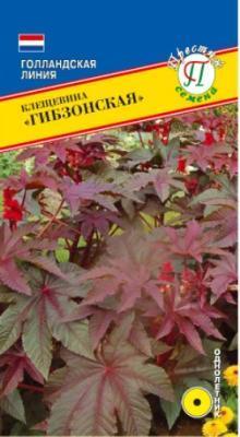 Клещевина  Гибзонская в интернет гипермаркете «Планета Лета». Фото