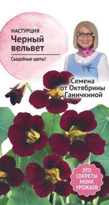 Настурция Черный вельвет 1 гр Ганичкина в интернет гипермаркете «Планета Лета». Фото