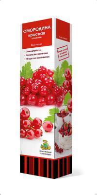 Смородина красная традиционные сорта Йонкер Ван Тетс/ЦКор в интернет гипермаркете «Планета Лета». Фото