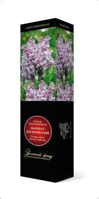 Сирень обыкновенная Маршал Малиновский/ЦКор в интернет гипермаркете «Планета Лета». Фото