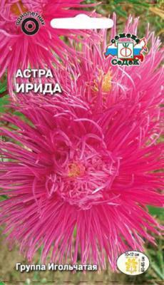 Астра Ирида игольчатая, насыщенно-розовая в интернет гипермаркете «Планета Лета». Фото