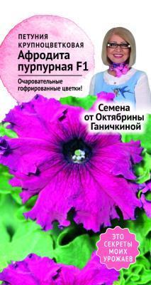 Петуния Афродита пурпурная F1 10шт Ганичкина в интернет гипермаркете «Планета Лета». Фото