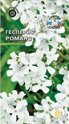 Гесперис Романс \ночн фиалка\ ,белый в интернет гипермаркете «Планета Лета». Фото