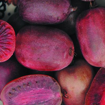 Актинидия аргута Пурпурна Садова (жен)/ЦКор в интернет гипермаркете «Планета Лета». Фото