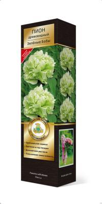 Пион древовидный Зеленые Бобы/ЦКорЛюкс в интернет гипермаркете «Планета Лета». Фото