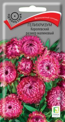 Гелихризум Королевский размер малиновый (ЦВ) ("1) 0,1гр. в интернет гипермаркете «Планета Лета». Фото