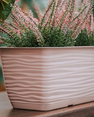 Балконный ящик Sahara с прикр. подд. 58,5*17; h14,5 см; 8,84л жемч.-корич., 3190-051 в интернет гипермаркете «Планета Лета». Фото