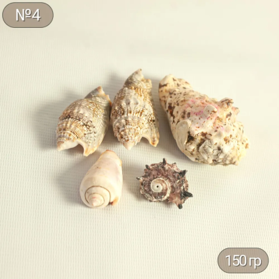 Ракушки набор 150гр микс A-115 в интернет гипермаркете «Планета Лета». Фото
