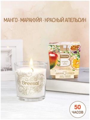 Свеча Breesal ароматическая Aroma Sphere «Дыхание тропиков» в стакане в интернет гипермаркете «Планета Лета». Фото