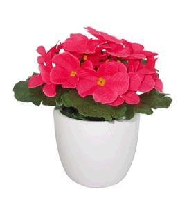 Цветы в кашпо (H-15см) HR-38336 в интернет гипермаркете «Планета Лета». Фото