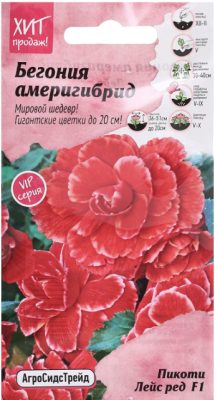 Бегония Америгибрид Пикоти Лейс Ред F1 5 шт АСТ в интернет гипермаркете «Планета Лета». Фото