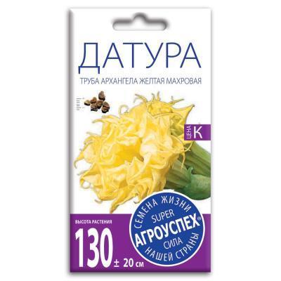Датура Труба Архангела желтая махровая 3 шт в интернет гипермаркете «Планета Лета». Фото
