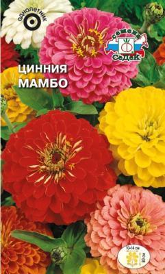 Цинния Мамбо георгиновидная смесь цветов в интернет гипермаркете «Планета Лета». Фото