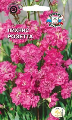 Лихнис Розетта сверкающий, розовый в интернет гипермаркете «Планета Лета». Фото