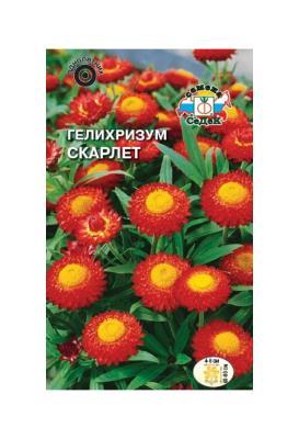 Гелихризум Скарлет 0,2 гр в интернет гипермаркете «Планета Лета». Фото