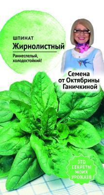 Шпинат Жирнолистный 2 гр Ганичкина в интернет гипермаркете «Планета Лета». Фото