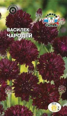 Василек Чародей темно-бордовый в интернет гипермаркете «Планета Лета». Фото