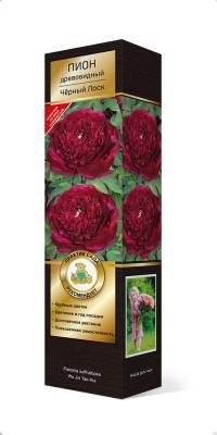 Пион древовидный Черный Лоск/ЦКорЛюкс в интернет гипермаркете «Планета Лета». Фото