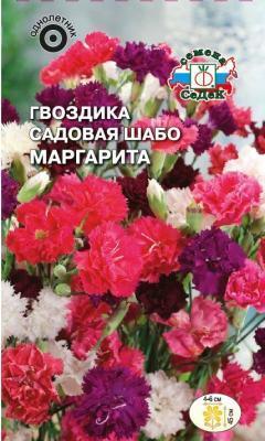 Гвоздика садовая Маргарита смесь цветов в интернет гипермаркете «Планета Лета». Фото