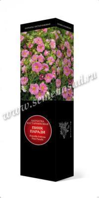 Лапчатка кустарниковая Гламур Гёл П в интернет гипермаркете «Планета Лета». Фото