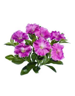 Петунья куст ярко-сиреневый в-20 см 7 цв 12/120 в интернет гипермаркете «Планета Лета». Фото