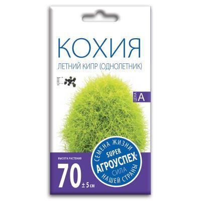 Кохия Летний кипр 0,3 гр в интернет гипермаркете «Планета Лета». Фото