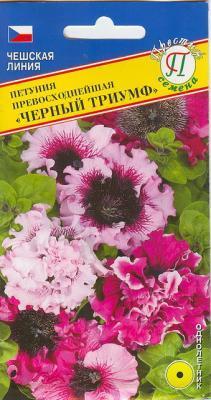Петуния превосходнейшая Черный Триумф в интернет гипермаркете «Планета Лета». Фото