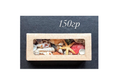 Звезда морская набор 150гр в интернет гипермаркете «Планета Лета». Фото