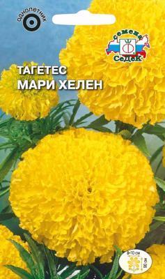 Тагетес Мари Хелен прямостоячий в интернет гипермаркете «Планета Лета». Фото