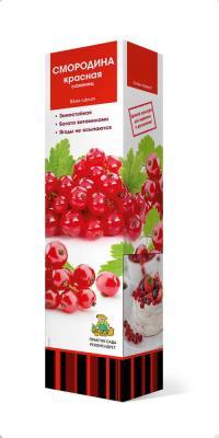 Смородина красная Уральские зори в коробке в интернет гипермаркете «Планета Лета». Фото