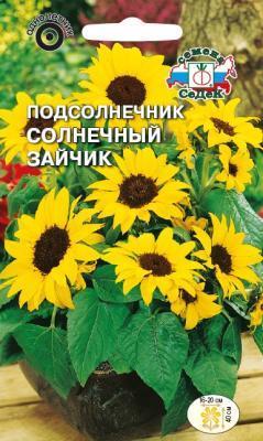 Подсолнечник Солнечный зайчик 1 гр в интернет гипермаркете «Планета Лета». Фото