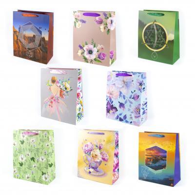 Сумка бумажная стандарт плюс AB  26*32*12 см 4601135615624 в интернет гипермаркете «Планета Лета». Фото