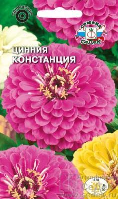 Цинния Констанция 0,5 гр в интернет гипермаркете «Планета Лета». Фото