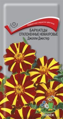 Бархатцы отклоненные немахровые (Тагетес отклонённый) Джолли Джестер ( ЦВ) ("1) 0,2гр. в интернет гипермаркете «Планета Лета». Фото
