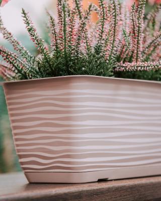 Балконный ящик Sahara с прикр. подд. 38,9*17; h14,5 см; 5,7л жемч.-корич., 3180-051 в интернет гипермаркете «Планета Лета». Фото