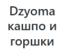 Dzyoma