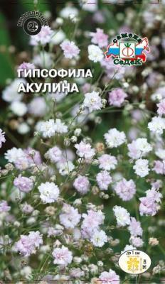 Гипсофила Акулина вид тихоокеанская, розовая в интернет гипермаркете «Планета Лета». Фото