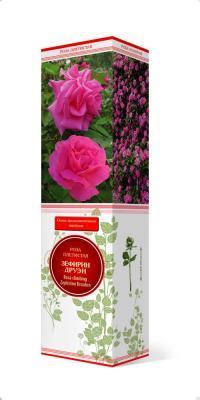 Роза плетистая Зефирин Друэн П в интернет гипермаркете «Планета Лета». Фото