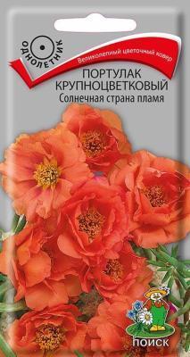 Портулак крупноцветковый Солнечная страна розовый (ЦВ) ("1) 0,1гр. в интернет гипермаркете «Планета Лета». Фото