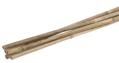 Поддержка бамбуковая GREEN APPLE 120см ø 8мм (20/480) в интернет гипермаркете «Планета Лета». Фото