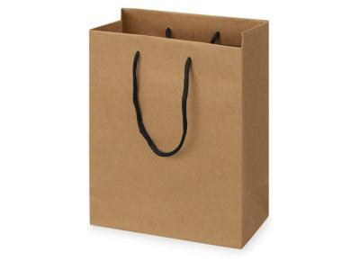 Пакет подарочный крафт (бумага), 20х10хH25 см в интернет гипермаркете «Планета Лета». Фото