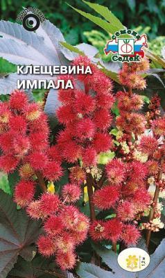 Клещевина Импала 2 гр в интернет гипермаркете «Планета Лета». Фото