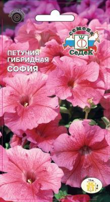 Петуния София F1 низкорослая, многоцветковая в интернет гипермаркете «Планета Лета». Фото